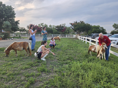 OWA Regional Event - Meet the Minis in Austin, TX! - 10