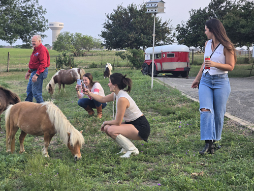 OWA Regional Event - Meet the Minis in Austin, TX! - 4