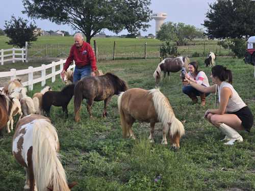 OWA Regional Event - Meet the Minis in Austin, TX! - 5