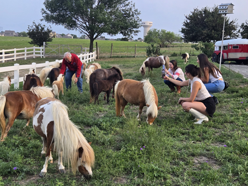 OWA Regional Event - Meet the Minis in Austin, TX! - 6