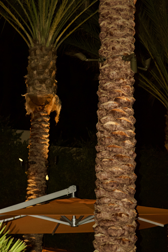 OWA - Unplugged: A Weekend to Be Fully Present - 117