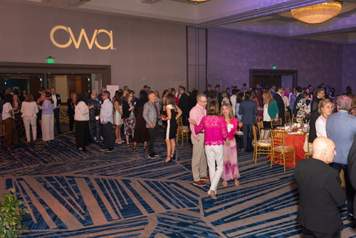 OWA - 2026 Vision Expo West - 41